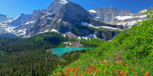 Read more about the article Best Hotels in Montana