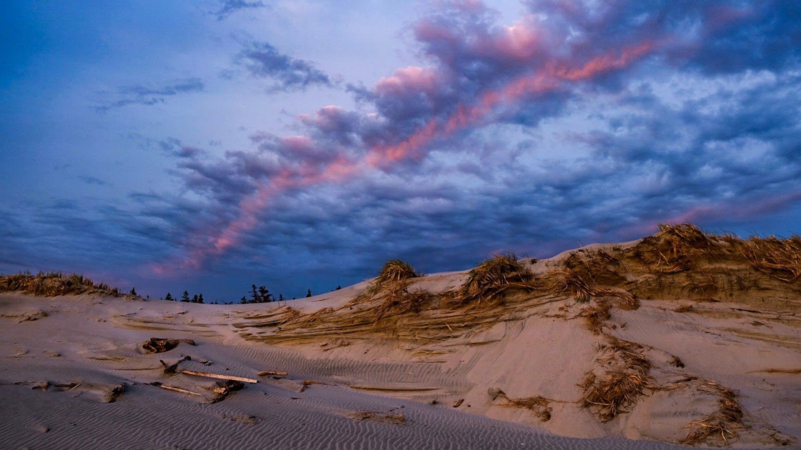 Read more about the article Beaches In Canada: Unexpected Diversity